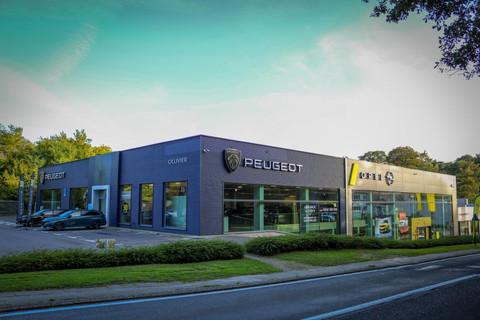 D&O Group Ollivier Alsemberg